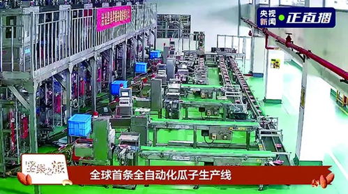 洽洽食品榮膺新華社民族品牌工程，引領民族品牌新篇章